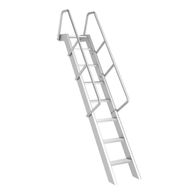 Wall mounted ladder