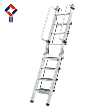 Wall mounted ladder